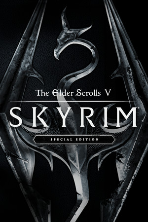 Skyrim save file cover